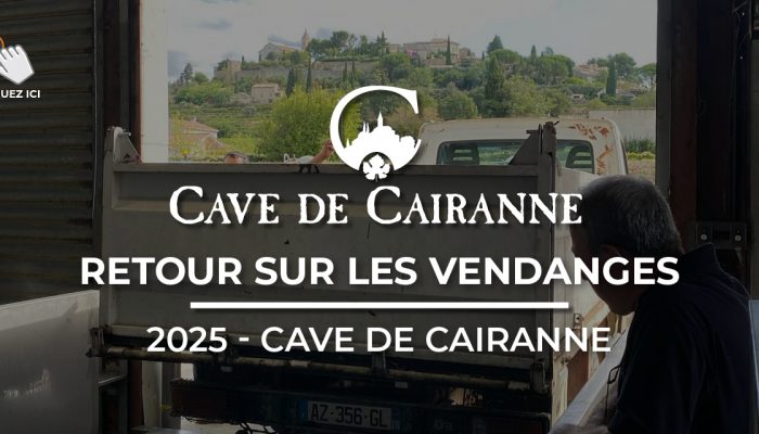 Retour sur les Vendanges 2025 – Cave de Cairanne