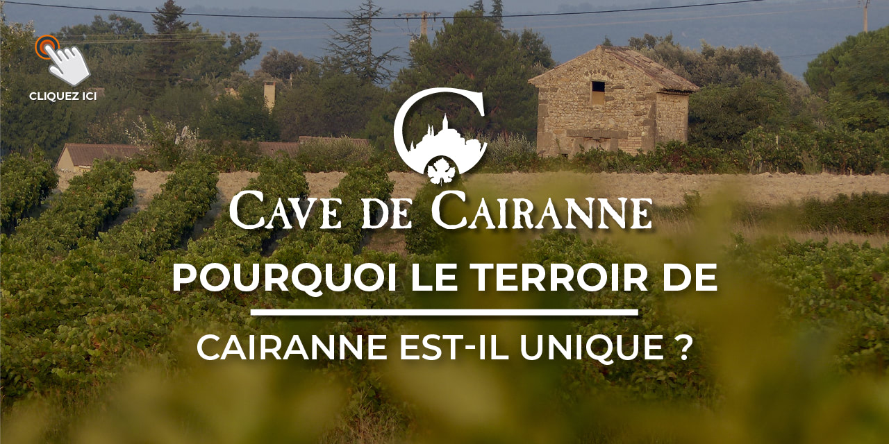 Pourquoi le terroir de Cairanne est-il unique ? | Cave de Cairanne